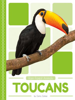 cover image of Toucans